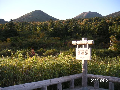 s_PICT0066s.png